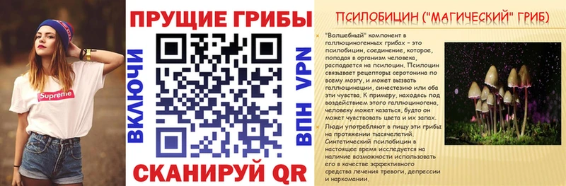 mega ссылки  Черемхово  Галлюциногенные грибы MAGIC MUSHROOMS 