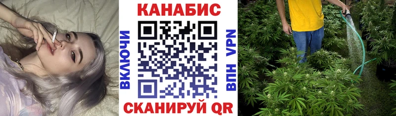 купить закладку  Черемхово  Бошки марихуана гибрид 